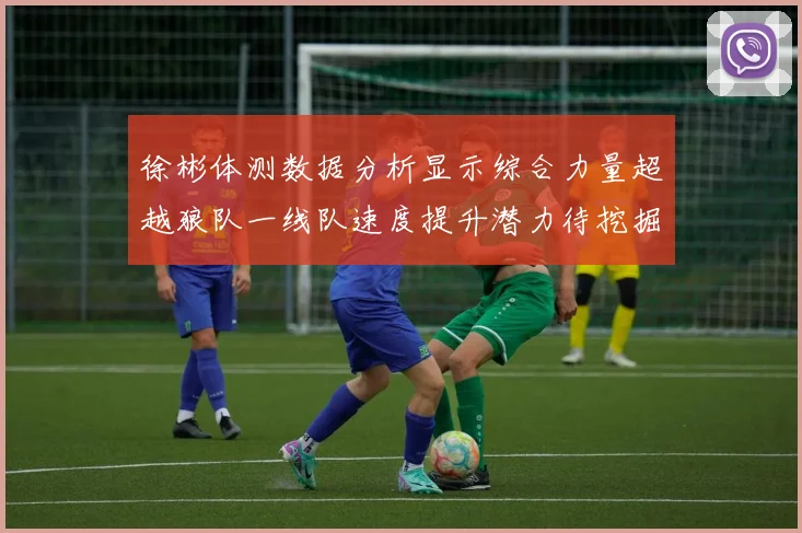 徐彬体测数据分析显示综合力量超越狼队一线队速度提升潜力待挖掘