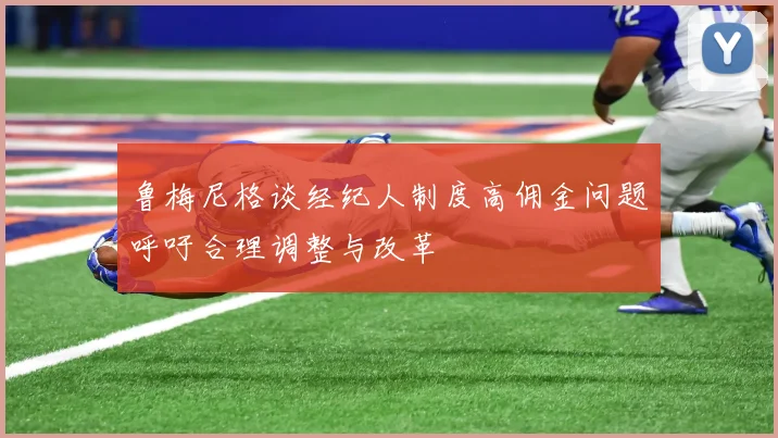 鲁梅尼格谈经纪人制度高佣金问题呼吁合理调整与改革