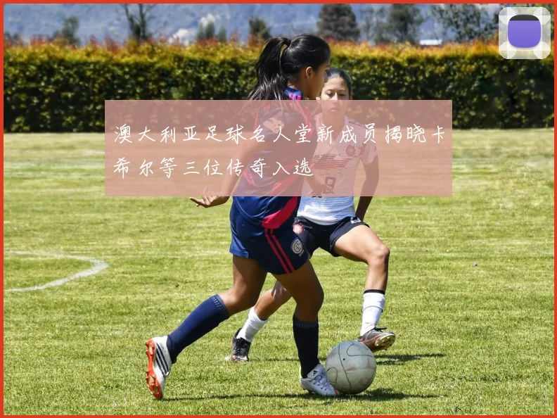 澳大利亚足球名人堂新成员揭晓卡希尔等三位传奇入选