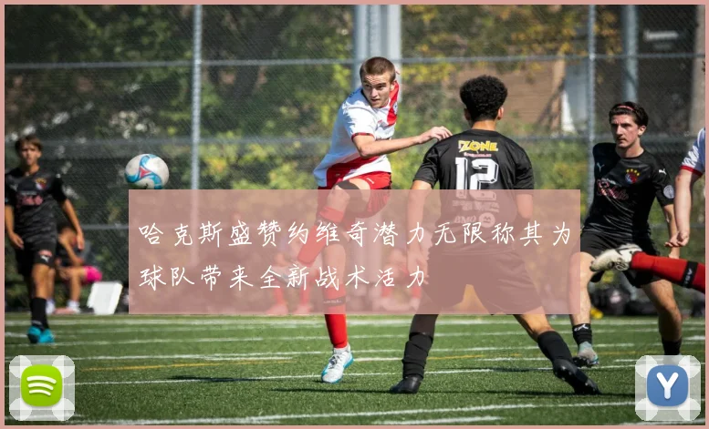 哈克斯盛赞约维奇潜力无限称其为球队带来全新战术活力